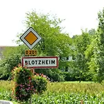 Ibis Styles Bâle-mulhouse Aéroport 3* Blotzheim