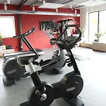 Ibis Styles Bale-mulhouse Aeroport Otel 3*