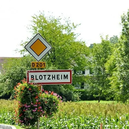 Ibis Styles Bâle-mulhouse Aéroport 3* Blotzheim