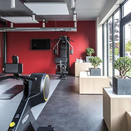 Ibis Styles Bâle-mulhouse Aéroport 3* Blotzheim