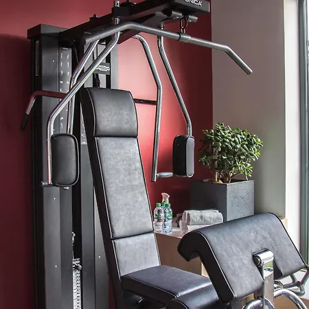 Hotel Ibis Styles Bâle-mulhouse Aéroport Blotzheim