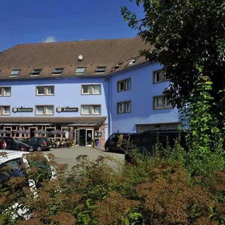 Ibis Styles Bale-mulhouse Aeroport Отель Блоцхейм