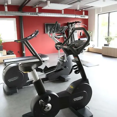 Ibis Styles Bale-mulhouse Aeroport Hotel 3*