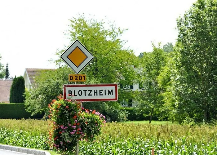 Ibis Styles Bâle-mulhouse Aéroport 3* Blotzheim