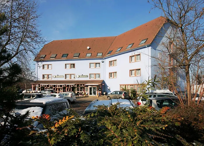 Ibis Styles Bale-mulhouse Aeroport